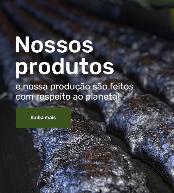 Nossos Produtos