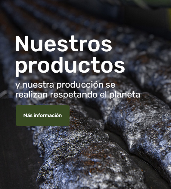 Nuestros Productos