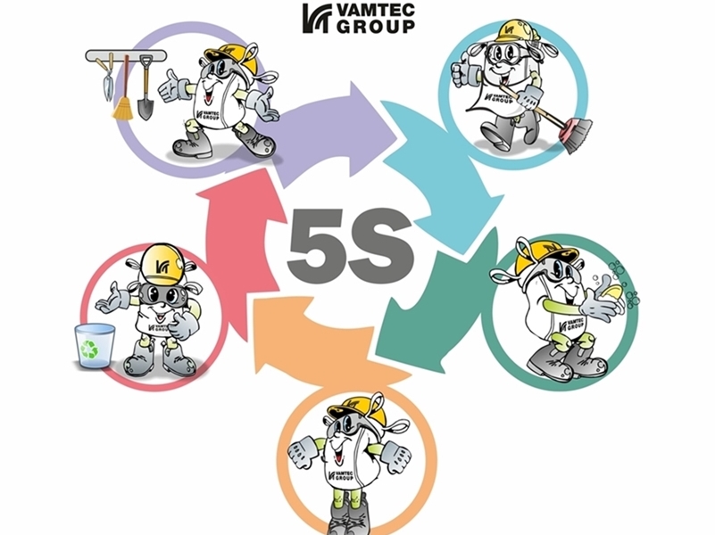 DDS 5S